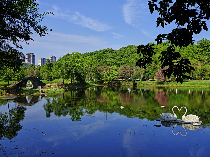 湖南工业大学(图4)